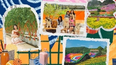 TOUR ĐÀ LẠT MỘNG MƠ VÀ NHỮNG CHÚ LÙN BỐN CHÂN | TOUR 1 NGÀY