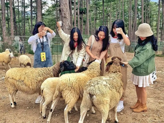 Tour 3N2D Thiên Đường Của Những Giấc Mơ