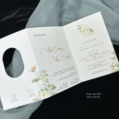 Gập Oval 509 - Hoa Thiên Điểu