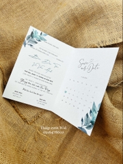 PB rút 340 - - Thiệp phong cách hiện đại màu sắc mùa hè