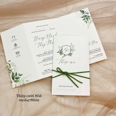 Ngang 364 - Mẫu xanh lá nổi bật