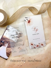 3 lá 275 - Thiệp hoa đồng tiền sắc cam nổi bật