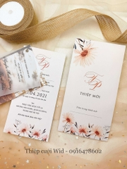 3 lá 275 - Thiệp hoa đồng tiền sắc cam nổi bật