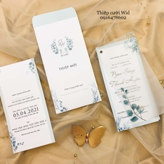 3 lá 279 - Mẫu lá xanh màu pastel