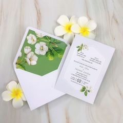 PB 206 - Thiệp hoa Sứ nền xanh hiện đại