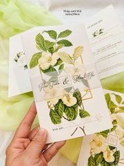 Ngang 381 - Sắc lá xanh kết hợp hoa nổi bật
