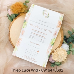 Ngang 263 - Mẫu hoa hồng sắc màu pastel