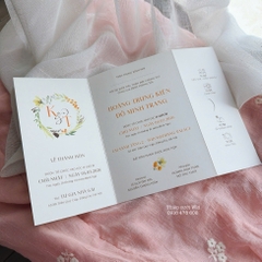 Ngang 534 khuyết cài