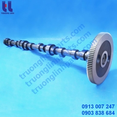 216-9782 Tục Cam CAT C9