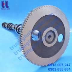 216-9782 Tục Cam CAT C9