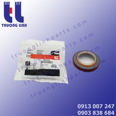 3004316 Phốt dầu trục khuỷu Cummins 
