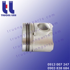 3096682 Pitson Cummins 