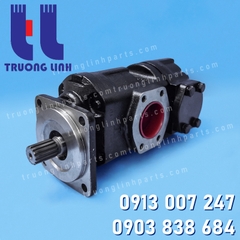 31LC-00200 Bơm Thủy Lực HYDRECO