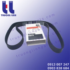 3911557 Dây curoa máy phát điện Cummins
