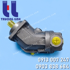 A2FM10/61W-VPB040 Motor Thủy Lực Rexroth