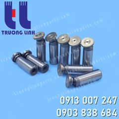 Bộ Piston Bơm PSV-10