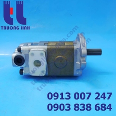 Bơm Thủy Lực Shimadzu SDYB607L165