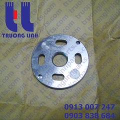 Mặt chà bơm thủy lực SG015