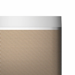 Loa B&O Beolit 20 (70W, Pin 8h, Sạc không dây)
