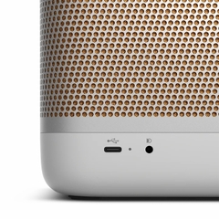 Loa B&O Beolit 20 (70W, Pin 8h, Sạc không dây)