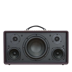 Loa xách tay Acnos Flac 36 (200W, Bluetooth 5.0, kèm 2 tay micro)