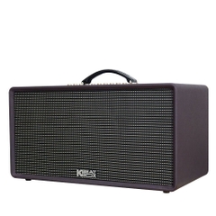 Loa xách tay Acnos Flac 36 (200W, Bluetooth 5.0, kèm 2 tay micro)