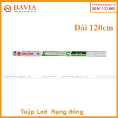 Bóng đèn LED Tuýp rạng đông T8 1.2m 20W thủy tinh