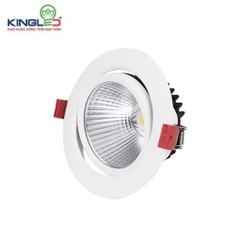 Đèn LED Spotlight âm trần DLR-10SS-T110