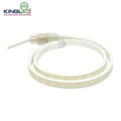 Led dây Kingled LD-8-5050