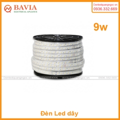 Đèn Led dây Rạng Đông 9w 