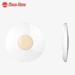 ỐP TRẦN 25W ĐƠN MÀU LN26  300/25W