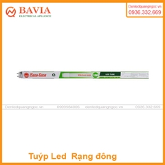 Tuýp Led thủy tinh rạng đông T8 1.2m 20W