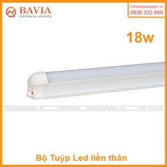 Bộ LED Tuýp liền thân T8 rạng đông 18W