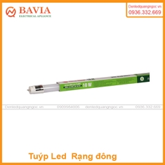 Bóng đèn LED Tuýp rạng đông T8 0.6m 10W thủy tinh