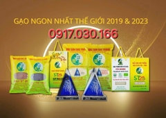 VỀ GẠO ÔNG CUA