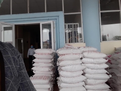 Cung cấp gạo từ thiện giá sỉ tại Hà Nội