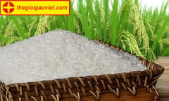 Địa chỉ cung cấp gạo ngon giá rẻ tại Hà Nội