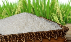 Những loại gạo Thái Lan đang được mua bán trên thị trường Việt Nam