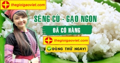 Những kiến thức cần biết về gạo séng cù