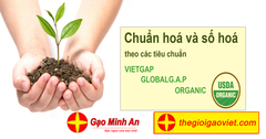 Những kiến thức cần biết về tiêu chuẩn VIETGAP!