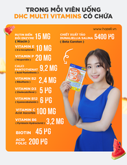 Viên uống vitamin tổng hợp DHC Multi Vitamins 60 Day