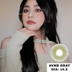 Lens AVNB210 Gray