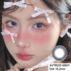 Lens AVTB210 Gray