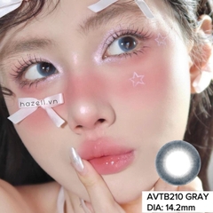 Lens AVTB210 Gray