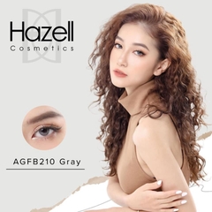 Lens AGFB210 Gray