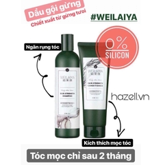 Bộ Gội Xả Gừng Weilaiya Ginger (Xanh Trắng)