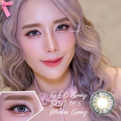 Lens GFC310 Gray 0.00