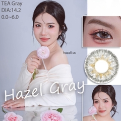 Lens TEA310 Gray