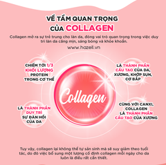 Viên uống collagen DHC 60 Days - HÀNG NHẬP KHẨU