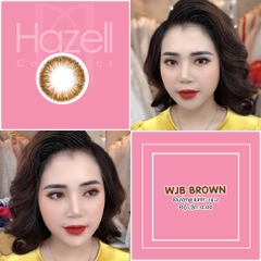 Lens WJB220 Brown 0.00